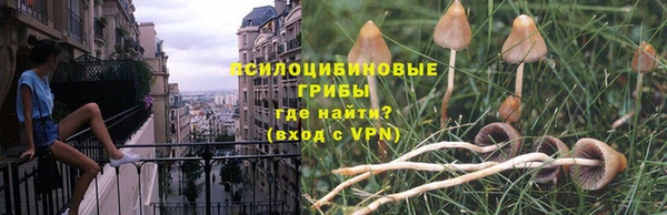 соль ск Аркадак