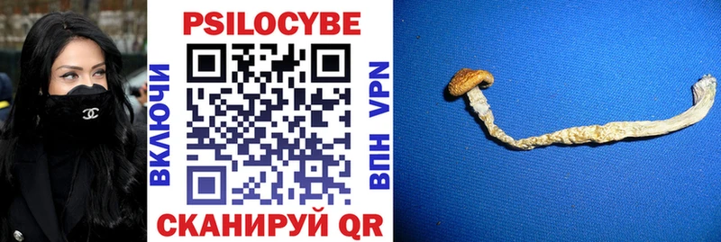 Галлюциногенные грибы GOLDEN TEACHER  Тулун 